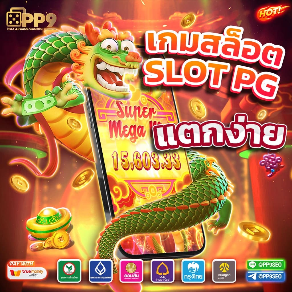 cat8888หวยvip เว็บเดิมพันยอดนิยม พร้อมโปรโมชั่นสุดคุ้ม 2024